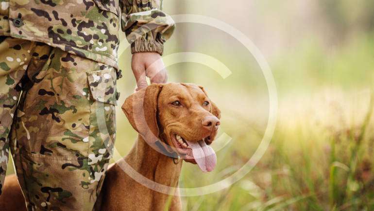 The Toughest Whitetail Rut Hunt You Can Go On